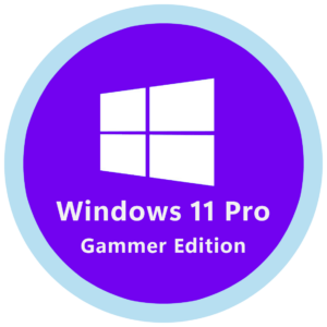 Home 117 Windows 11 Pro Gammer Edtion